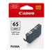 CANON 1LB CLI-65 LGY EUR/OCN Ink Crtg