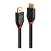 LINDY 10m Active Cable DisplayPort 1.4