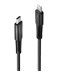 LINDY 0.5m USB Type C to Lightning Cable