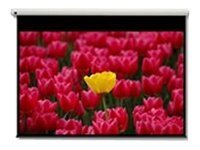 OPTOMA DE-9120EGA Ecran de Projection Electrique16/9 265x149cm