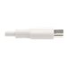 EATON TRIPPLITE USB-C to Lightning Cable