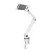 NEOMOUNTS Tablet Desk Clamp White