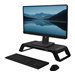 FELLOWES Hana Lt Monitor Riser Black