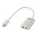 LINDY Convertisseur USB type C vers