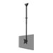 NEOMOUNTS Flat Screen Ceiling Mount