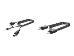 HP 300cm DP+Y CABLE L701xt