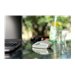 CHERRY GENTIX BT Agave Green Mouse