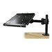 LINDY Notebook-Arm 180 degrees rotatable