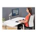 FELLOWES EPPASINGLE ARGENT