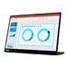 LENOVO ThinkVision M14d 14p QHD TS