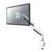 NEOMOUNTS NeoMounts Desk mount 10-32p