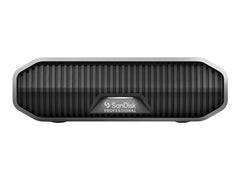 SANDISK Prof. G-DRIVE 22To