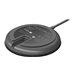 LOGI Rally Mic Pod - GRAPHITE