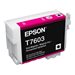 EPSON RUBAN DFX-5000/5000 /8000