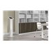 NEOMOUNTS floor stand with cabinet