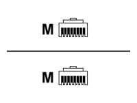 MCL CAT6A S/FTP LSZH Patch cable - 10m