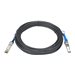 NETGEAR Câble DAC SFP+ de 10m AXC7610