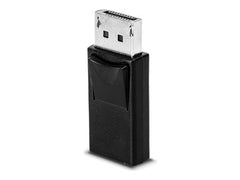 LINDY Adaptateur DisplayPort vers mini