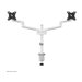 NEOMOUNTS Next Lite Screen Desk Mount