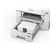 EPSON 500 Sheet Paper Cassette WF-6xxx
