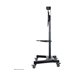NEOMOUNTS NeoMounts floor stand 32-75p