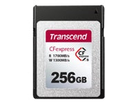 TRANSCEND 256Go CFExpress Card TLC