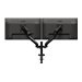 AOC AS110D0 Monitor arm Dual
