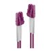 LINDY LWL-Duplexcable LC/LC OM4 1m