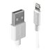 LINDY 0.5m USB to Lightning Cable white