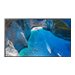 SAMSUNG OM75A 75p UHD/4K 16:09
