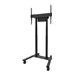 NEOMOUNTS Move Lift Motorised Stand