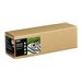 EPSON Fine Art Cotton Textured Bright 17