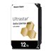 WESTERN DIGITAL Ultrastar HC520 12To SE
