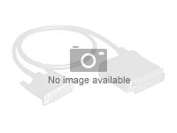 FUJITSU Raid Cable Kit / Raid Card