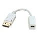LINDY Adaptateur DisplayPort vers HDMI