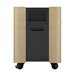 EPSON Mobile A/V Cabinet ELPCS01