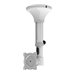 NEOMOUNTS FPMA-C025SILVER Ceiling Mount