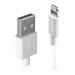 LINDY USB to Lightning Cable White 2m