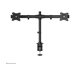 NEOMOUNTS Flat Screen Desk Mount clamp
