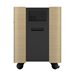 EPSON Mobile A/V Cabinet ELPCS01