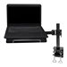 NEOMOUNTS Notebook Desk/Wall Mount Clamp