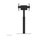 NEOMOUNTS Move Up Display Floor Stand