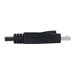 EATON TRIPPLITE DisplayPort 1.4 Cable