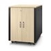 APC NetShelter Soundproof Server Rack 17