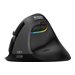 URBAN FACTORY ERGO PRO SOURIS SANS FIL