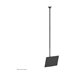 NEOMOUNTS Flat Screen Ceiling Mount