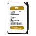 WESTERN DIGITAL Ultrastar HC330 10To TCG