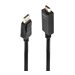 LINDY Câble DisplayPort vers HDMI 4K30