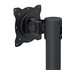 NEOMOUNTS Flatscreen Desk Mount 10-30p