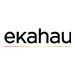 EKAHAU Replacement power supply USB-C